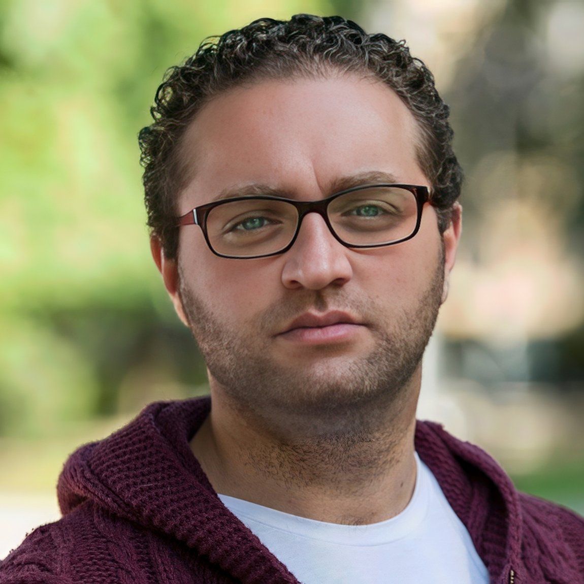 David —  International Chamber Classics Festival